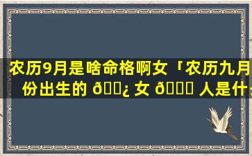 农历9月是啥命格啊女「农历九月份出生的 🌿 女 🐎 人是什么星座」